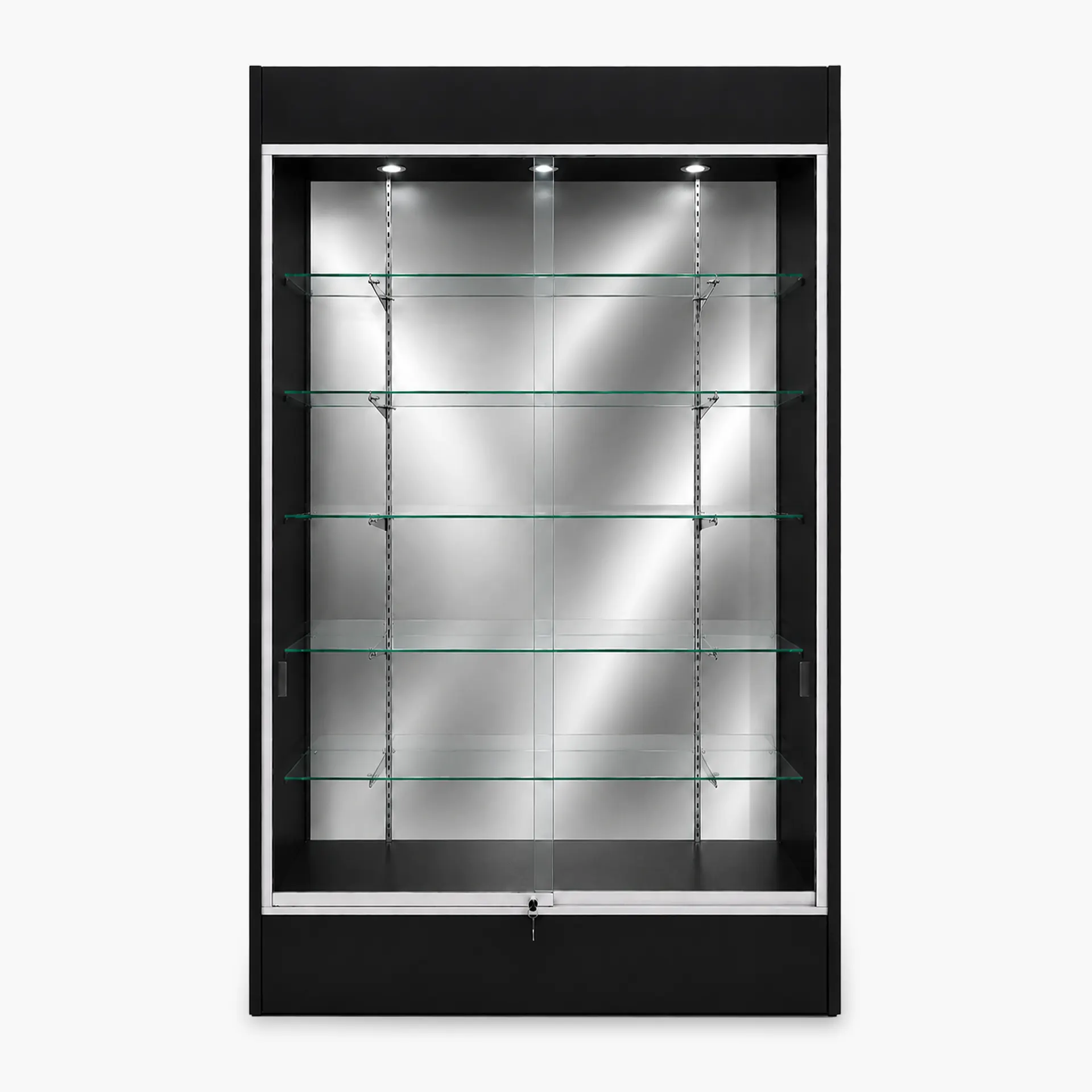 Full Vision Wall Case